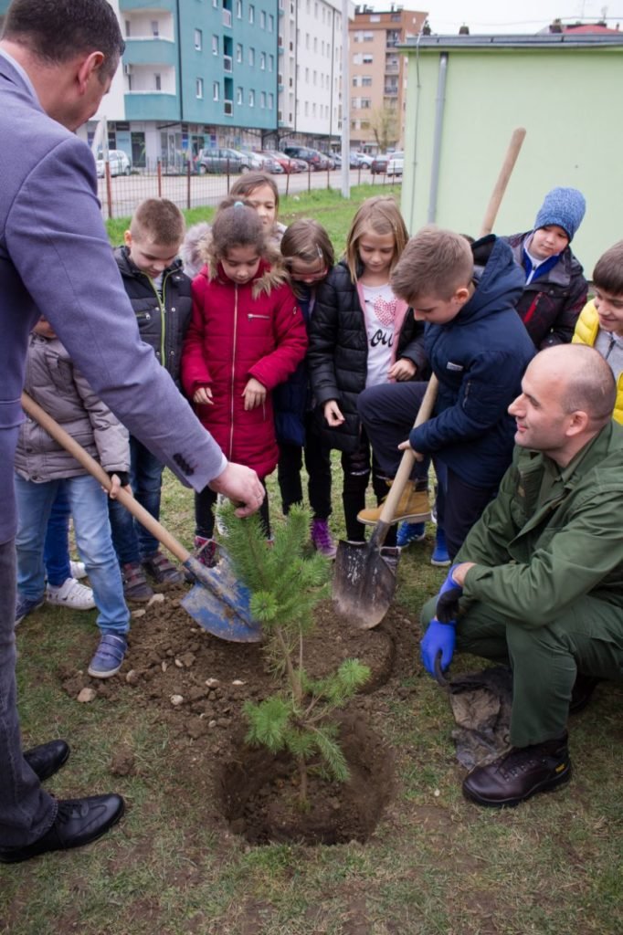 Обиљежен Међународни дан шума | ЈУ ОШ "Бранко Радичевић" Бања Лука dan suma img 756a9d2337414a893328ee00f51614a7 v 682x1024 1